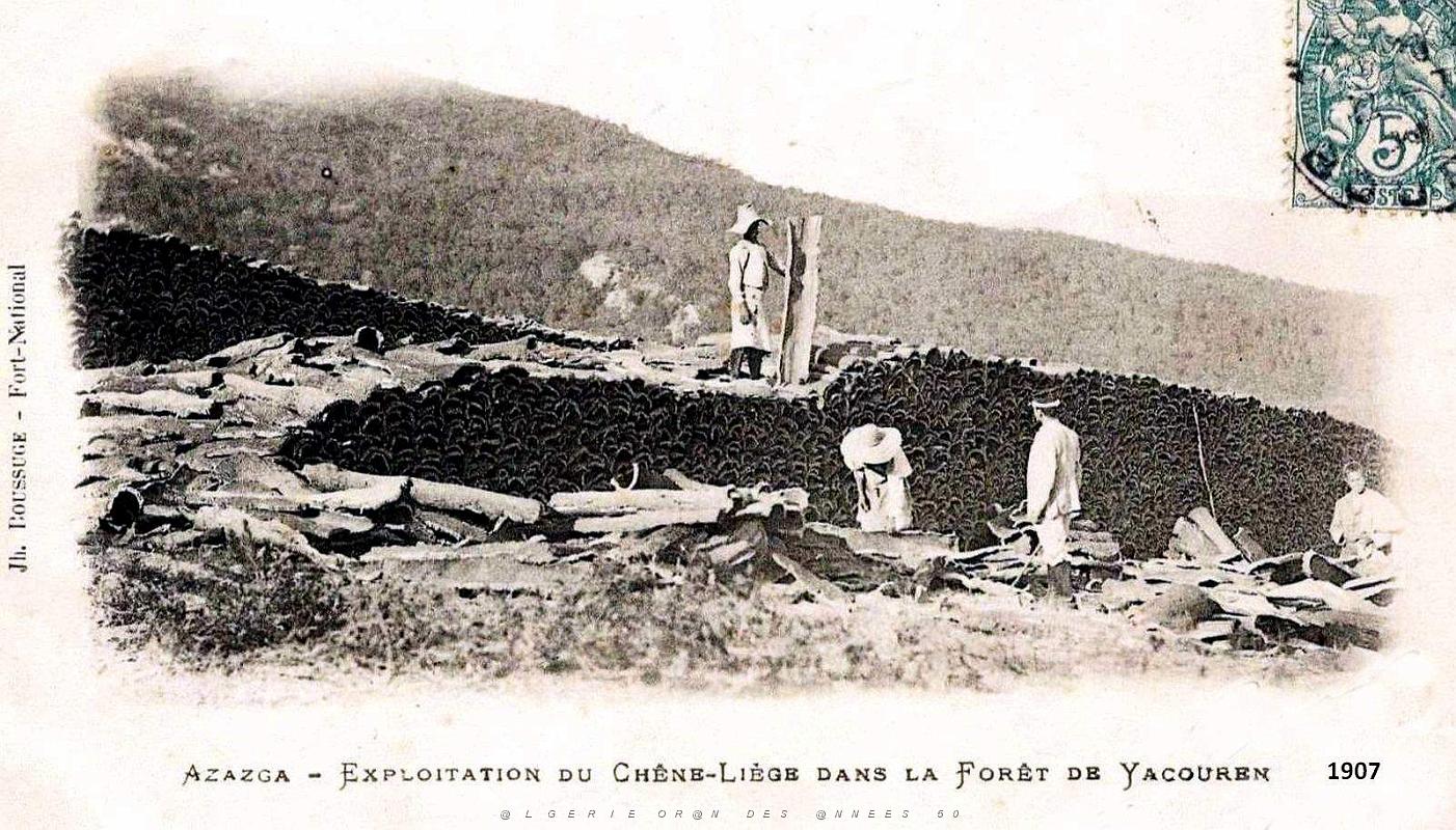 Azazga - Exploitation du Chene-Liege dans la Foret de Yacouren - 1907.jpg